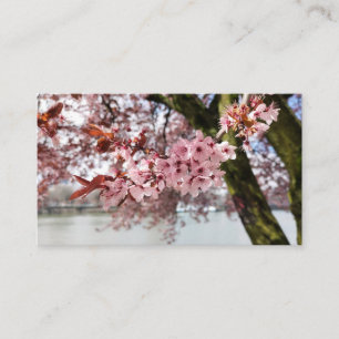 Portland's Pink Embrace: Cherry Blossom Serenity Business Card