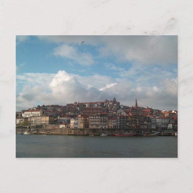 Porto - Portugal Postcard (Front)