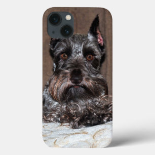 Portrait adorable de Mini Schnauzer sur coque ipad