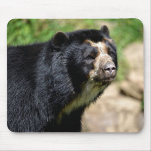 Portrait Andean bear Mouse Pad
