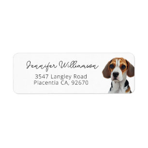 Portrait Beagle mignon Adresse de retour simple