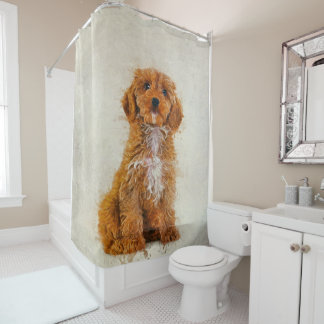 Portrait Cockapoo Photo | Dog Lover