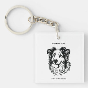 Portrait Collie Bordure