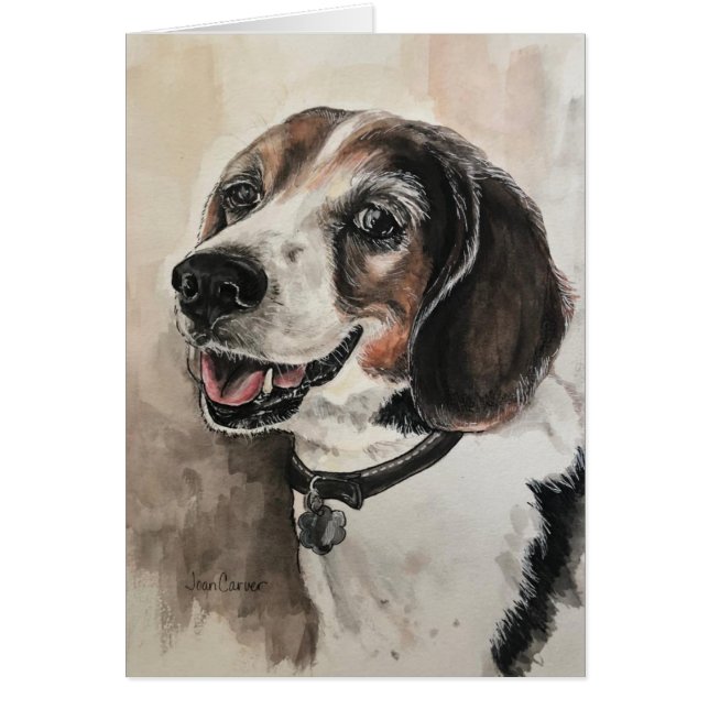 Portrait d'animal familier - beagle (Devant)