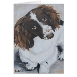 Portrait d'animal familier - le Roi cavalier