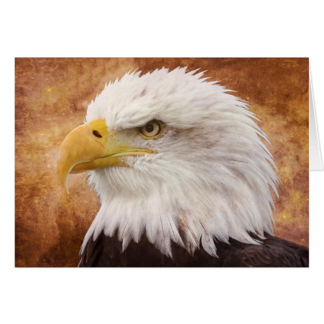 Portrait de Bald Eagle (Devant horizontal)
