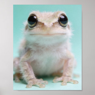 Portrait de bébé grenouille – Art mural de la nurs