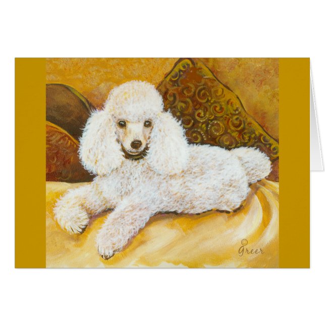Portrait de caniche blanc (Devant Horizontal)