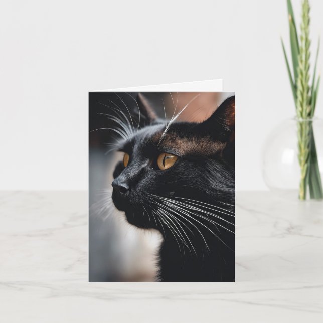Portrait de chat noir (Devant)
