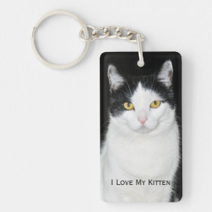 Portrait de chat noir et blanc