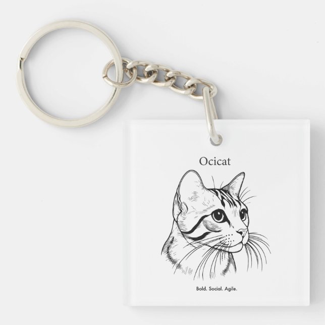 Portrait de chat Ocicat (Devant)