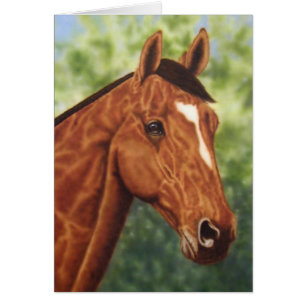 Portrait de cheval