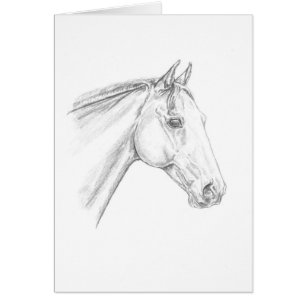 Portrait de cheval au crayon