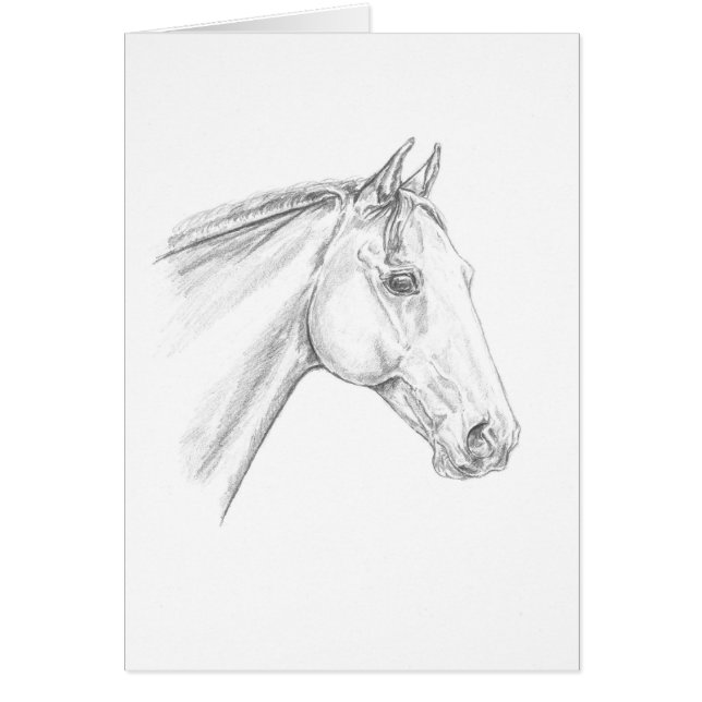 Portrait de cheval au crayon (Devant)