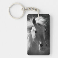 Portrait de cheval V