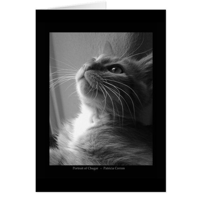 Portrait de Chugar (Devant)