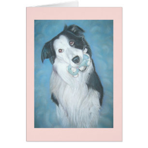 portrait de collie à la frontière mignonne avec te