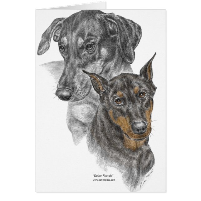 Portrait de deux Dobermans (Devant)