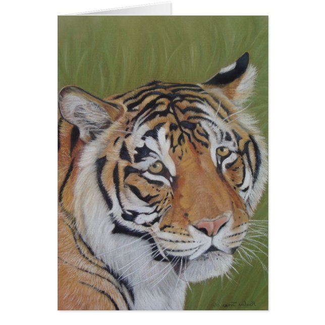 portrait de la faune photo de tiger gros chat (Devant)