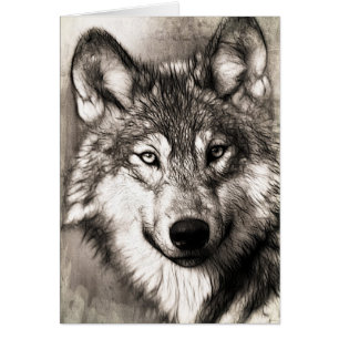 Portrait de loup