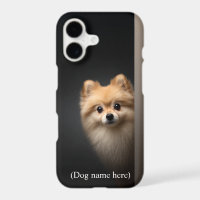 Portrait de Pomeranian personnalisé