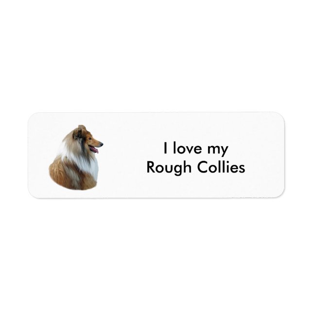 Portrait de Rough Collie (Devant)
