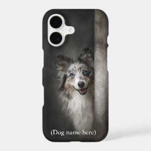 Portrait de Sheltie Blue Merle personnalisé