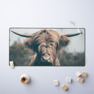 Portrait de vache Highland