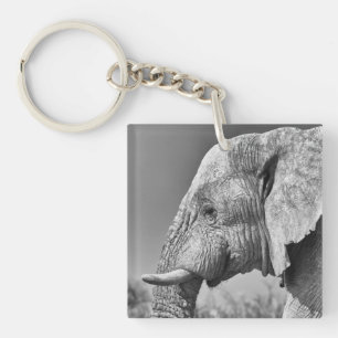 Portrait d'éléphant