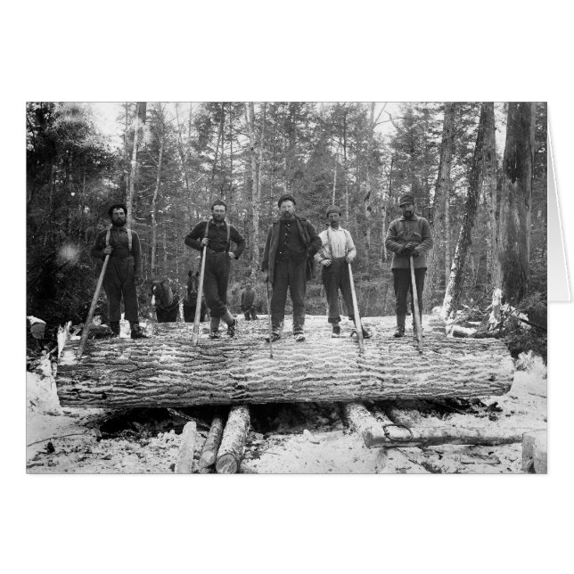Portrait des bûcherons, 1890 (Devant horizontal)