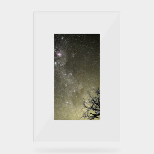 Portrait d'évasion lunaire par Chrome Kitten