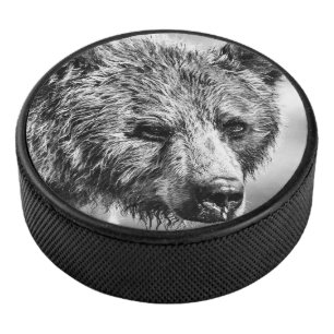 Portrait d'ours grizzli