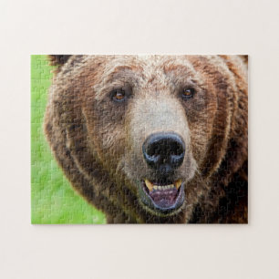 Portrait d'ours grizzli, Puzzle