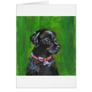 Portrait d'un Labrador noir