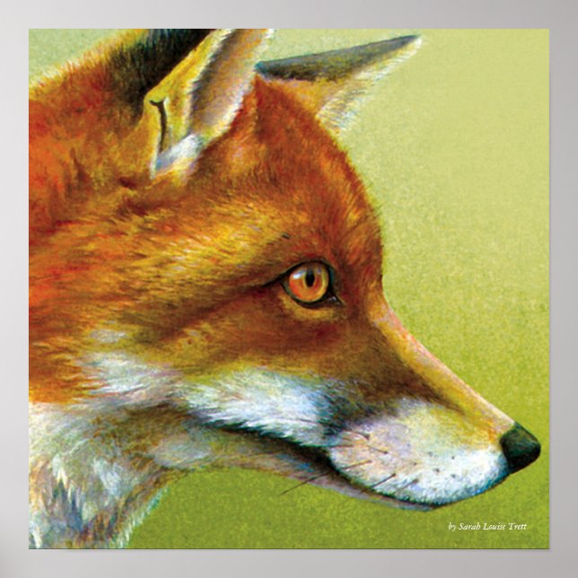 Portrait d'une affiche de renard (Devant)