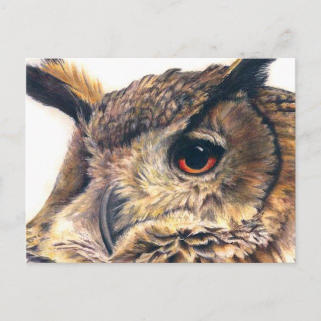 Portrait d'une carte postale de hibou de l'aigle (Devant)