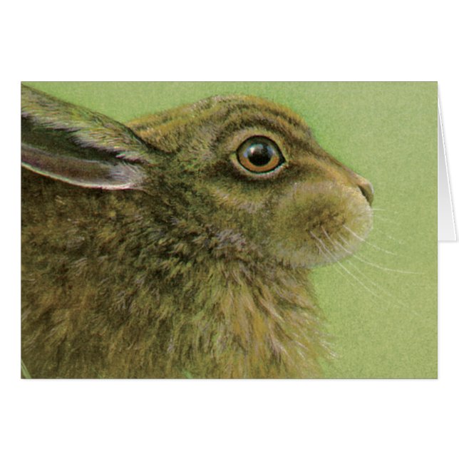 Portrait d'une peinture acrylique Rabbit (Devant horizontal)