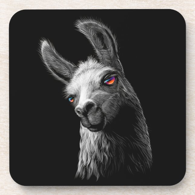 Portrait Head Cute Llama On Black Background Coaster (Front)