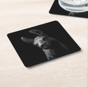 Portrait Head Cute Llama with a Black Background Square Paper Coaster