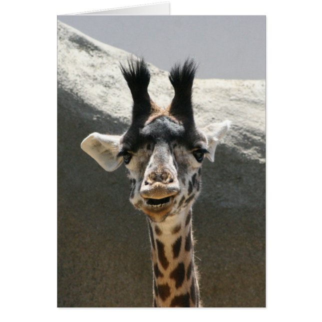 Portrait of a Baby Giraffe (Front)