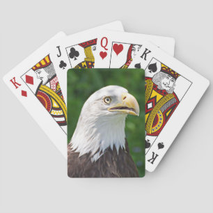 Portrait of a Bald Eagle Playing Cards