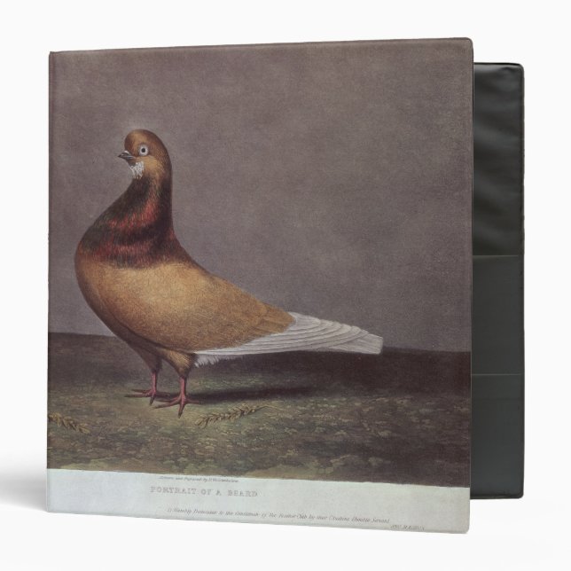 Portrait of a Beard Pigeon Binder (Front/Inside)