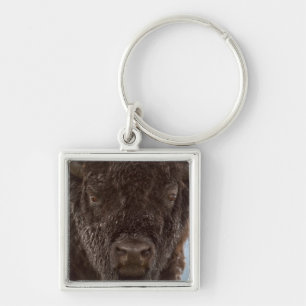 Portrait Of A Bison Bull In The Rain Keychain