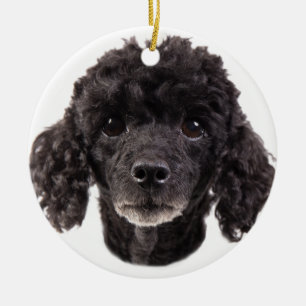 Portrait of a black poodle ceramic ornament