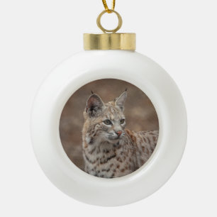 Portrait of a Bobcat Ceramic Ball Christmas Ornament