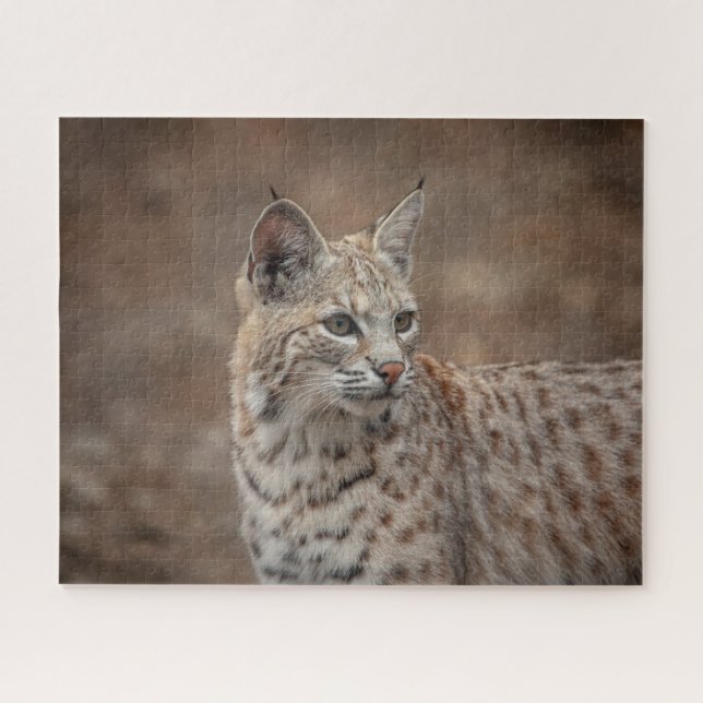Portrait of a Bobcat Jigsaw Puzzle (Horizontal)