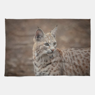 Portrait of a Bobcat Kitchen Towel