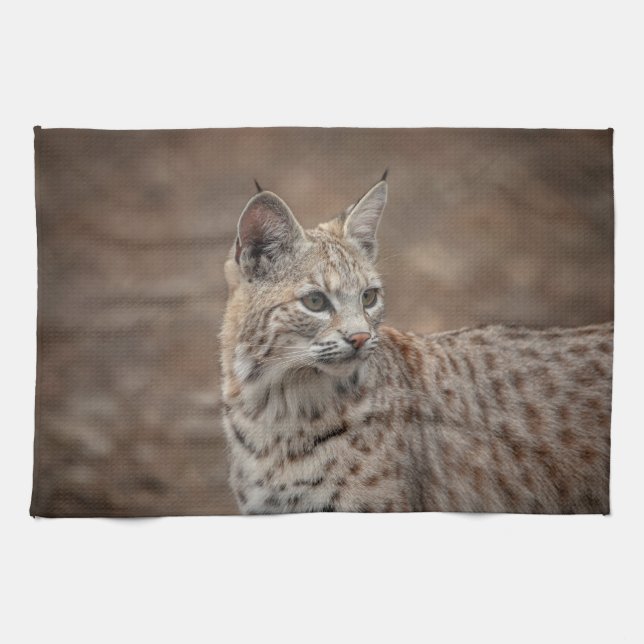 Portrait of a Bobcat Kitchen Towel (Horizontal)