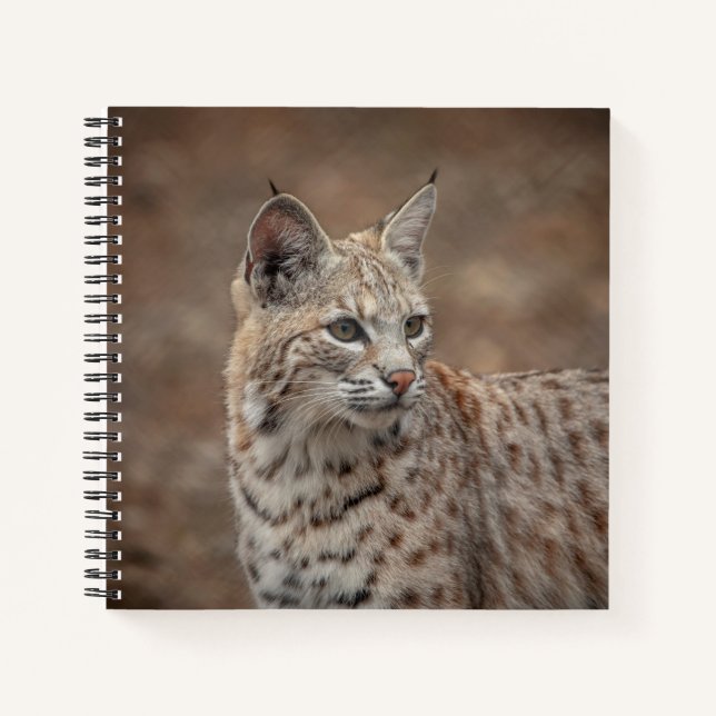 Portrait of a Bobcat Notebook (Front)