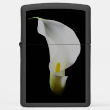 Portrait Of A Calla Lily